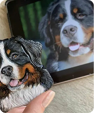 Pet Photo Magents