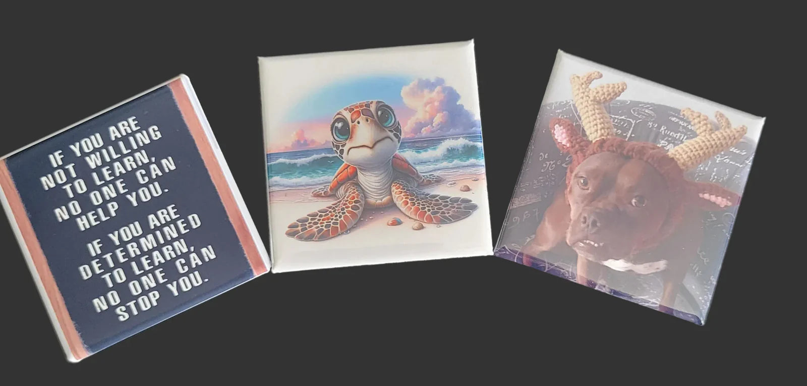 3 Custom Photo magnets