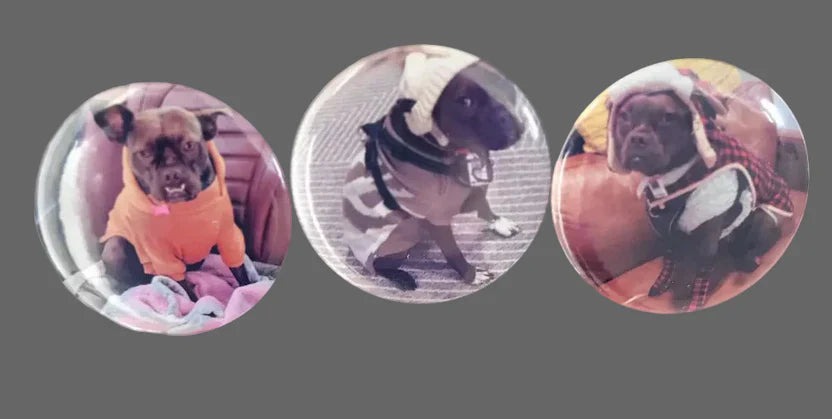 3 Custom Round Magnets